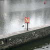 2008 Schild auf der Molda (Prag) (c) Hoeller