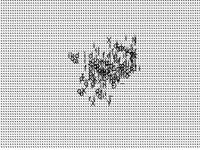 noise